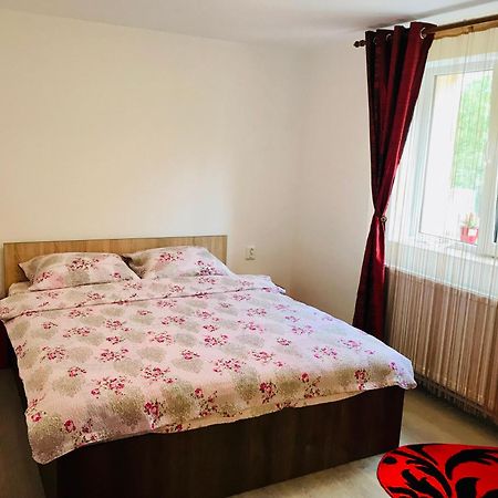 Casa Victoria 호텔 Cîrţişoara 외부 사진