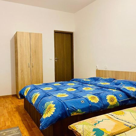 Casa Victoria 호텔 Cîrţişoara 외부 사진