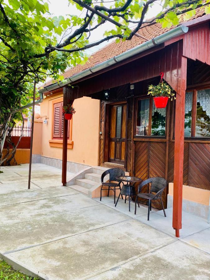 Casa Victoria 호텔 Cîrţişoara 외부 사진