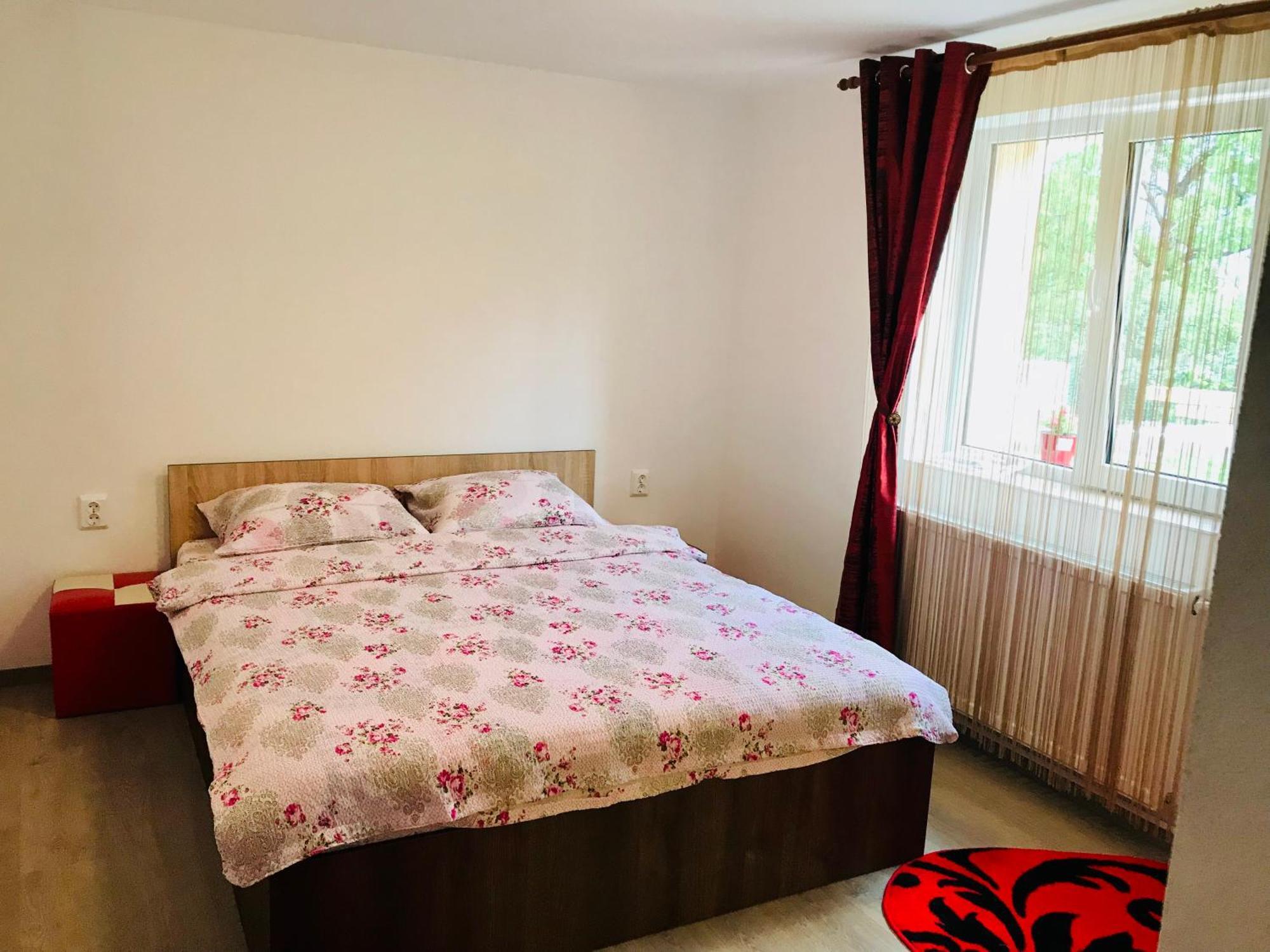 Casa Victoria 호텔 Cîrţişoara 외부 사진