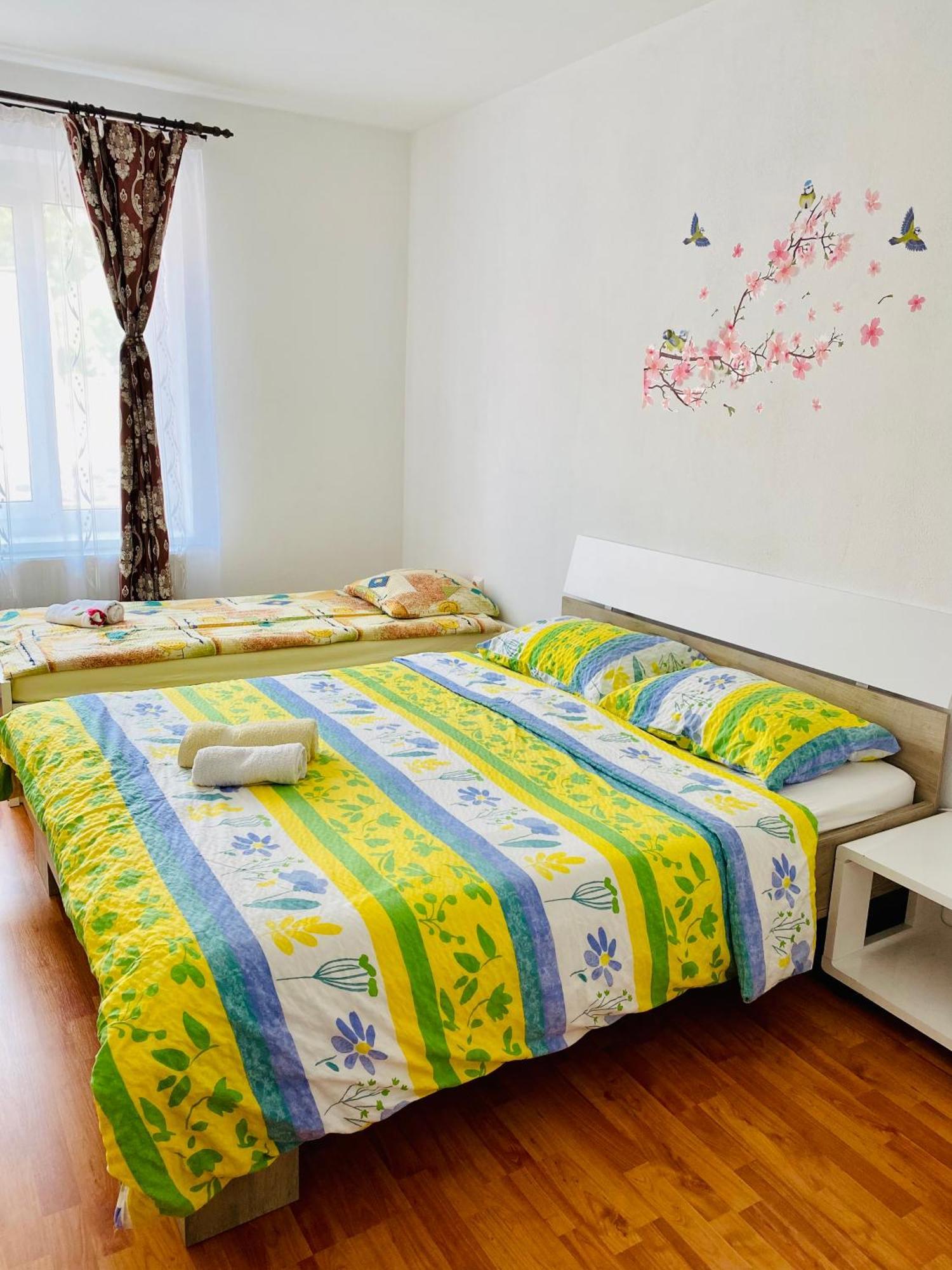 Casa Victoria 호텔 Cîrţişoara 외부 사진