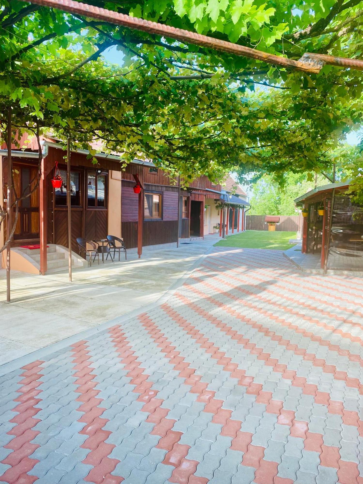 Casa Victoria 호텔 Cîrţişoara 외부 사진